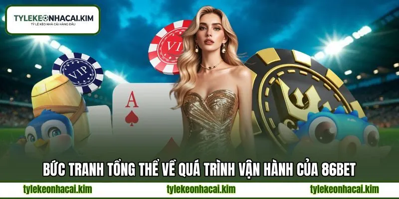 Bức tranh tổng thể về quá trình vận hành của 86BET