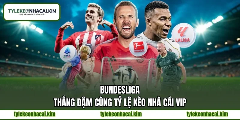 Bundesliga | Thắng Đậm Cùng Tỷ Lệ Kèo Nhà Cái VIP