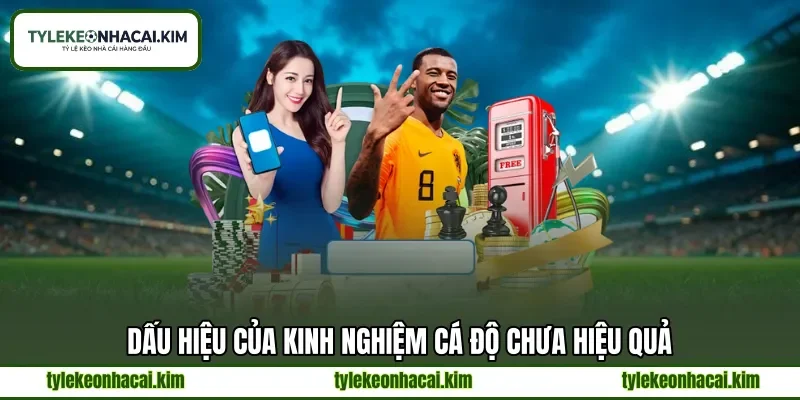 Dấu hiệu của kinh nghiệm cá độ chưa hiệu quả Dấu hiệu của kinh nghiệm cá độ chưa hiệu quả