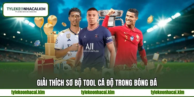 Giải thích sơ bộ tool cá độ trong bóng đá Giải thích sơ bộ tool cá độ trong bóng đá