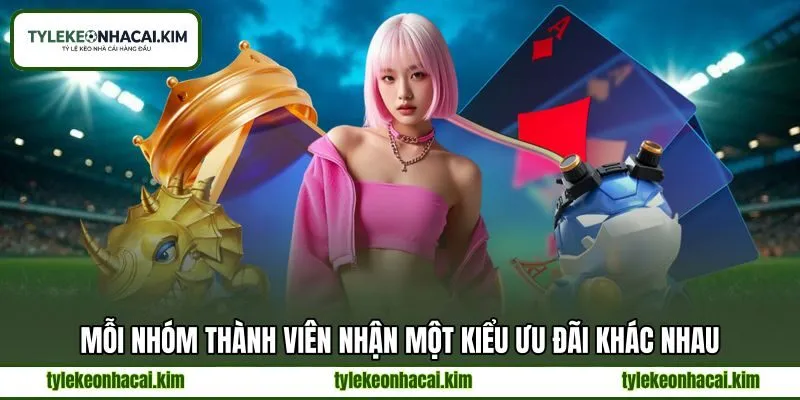 Mỗi nhóm thành viên nhận một kiểu ưu đãi khác nhau