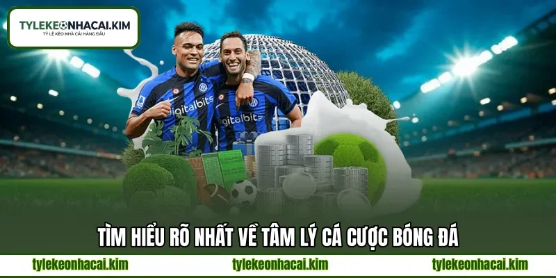 Tìm hiểu rõ nhất về tâm lý cá cược bóng đá Tìm hiểu rõ nhất về tâm lý cá cược bóng đá